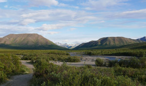 View from Savage River Campground, Savage River 